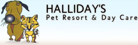 Halliday's Pet Resort & Day Care